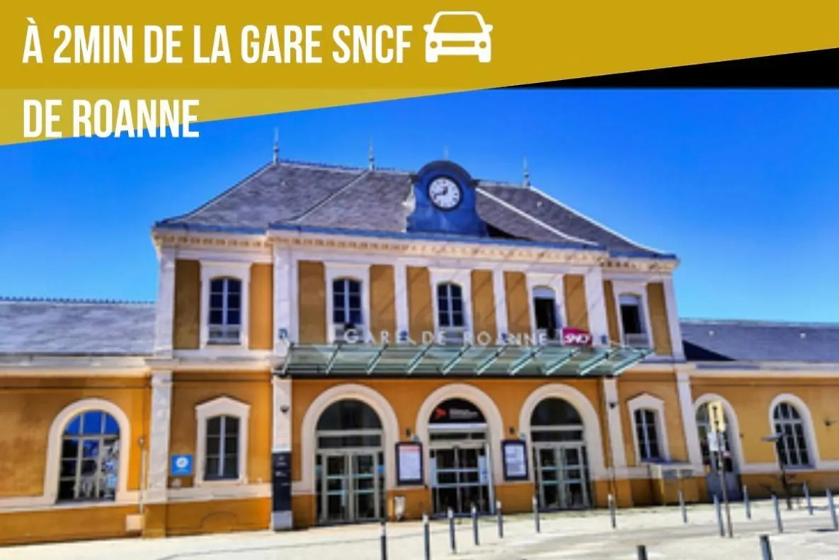 Ficus Roanne Centre-Ville - Clim & Parking